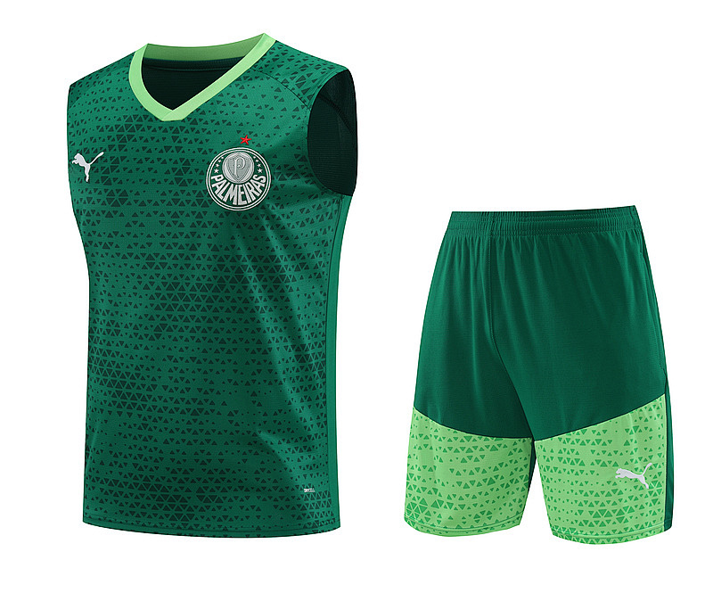 24-25 Palmeiras Vest