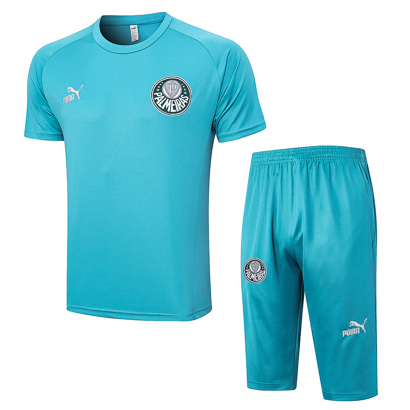23-24 Palmeiras Short Sleeve Training Suit