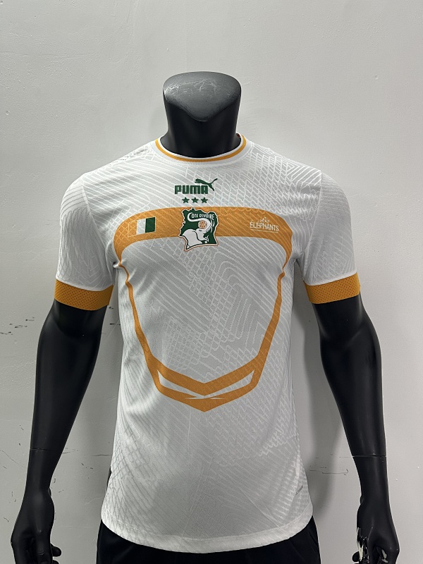 2023 Cote d'Ivoire Training Player Version Jerseys