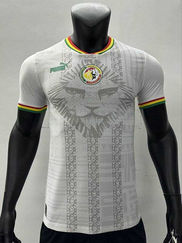 23-24 Senegal Special Player Version Jerseys
