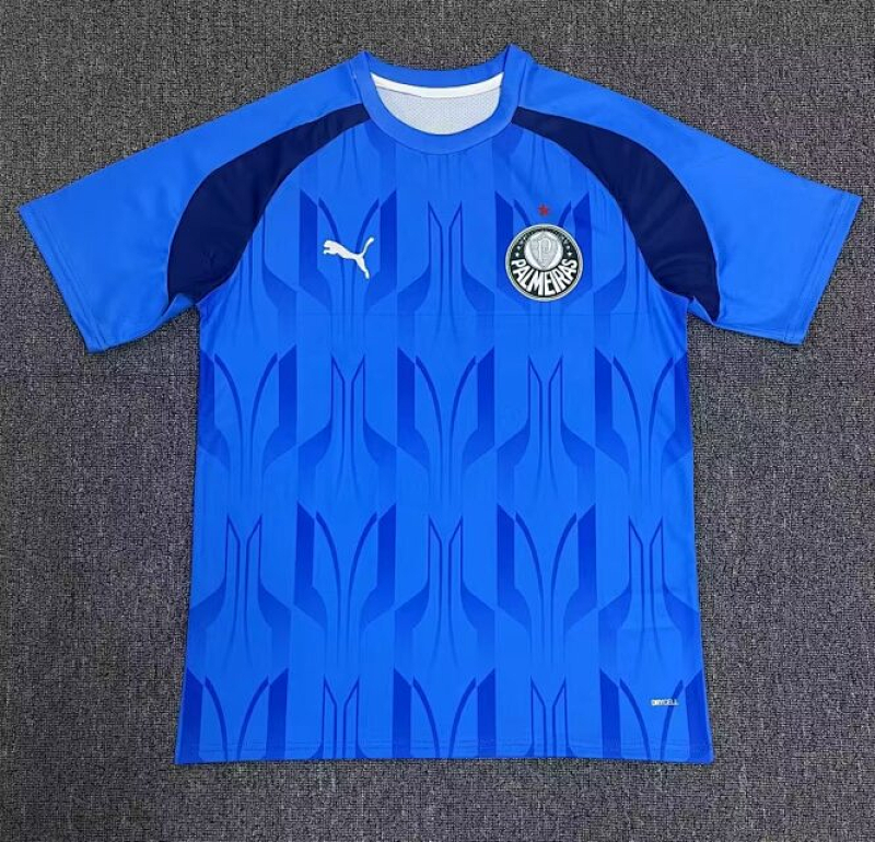 24-25 Palmeiras Training Jerseys