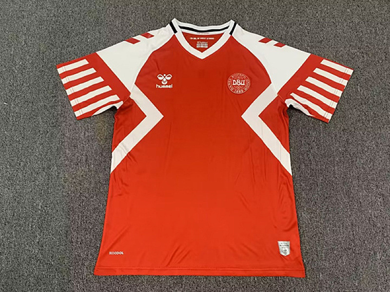 2023 Denmark Home Jerseys