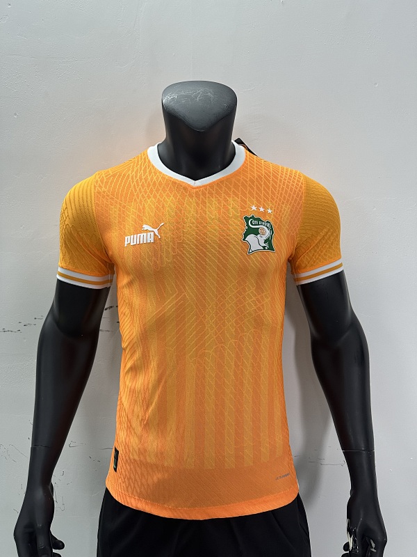 2023 Cote d'Ivoire Training Player Version Jerseys