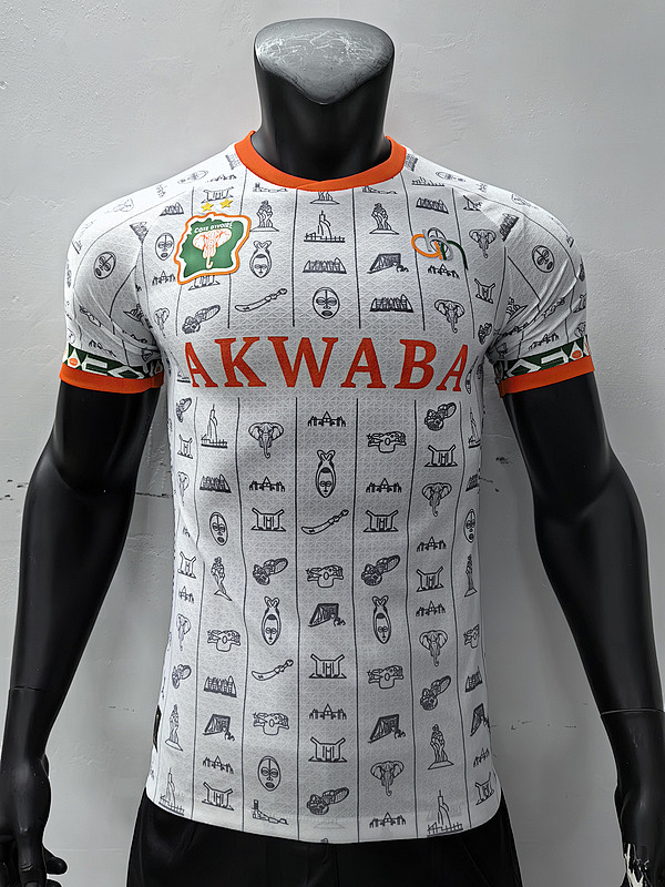 2023 Ivory Coast Player Version Training Jerseys