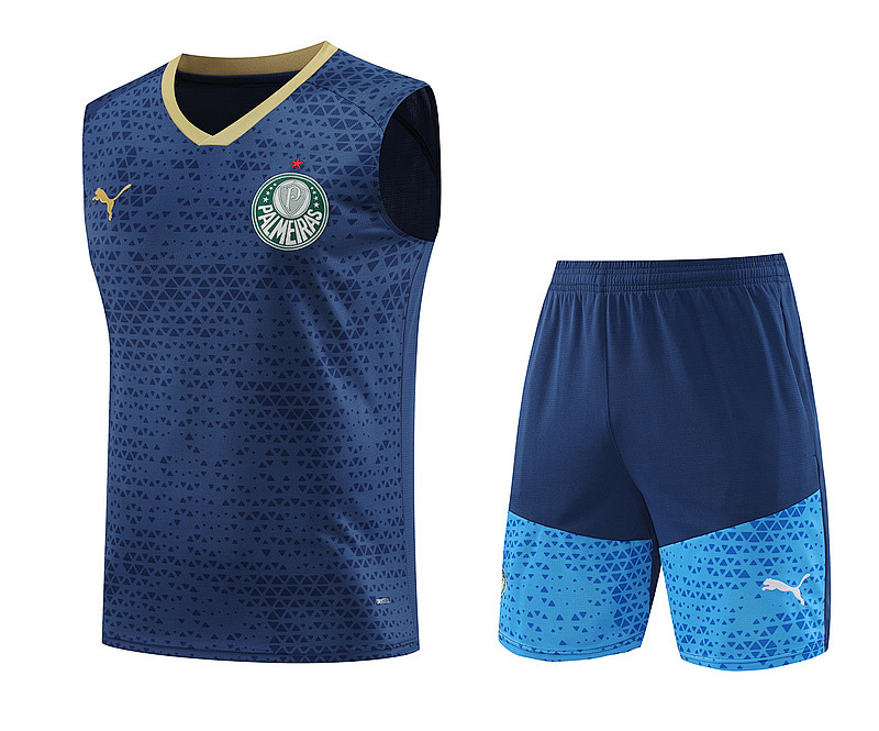 24-25 Palmeiras Vest