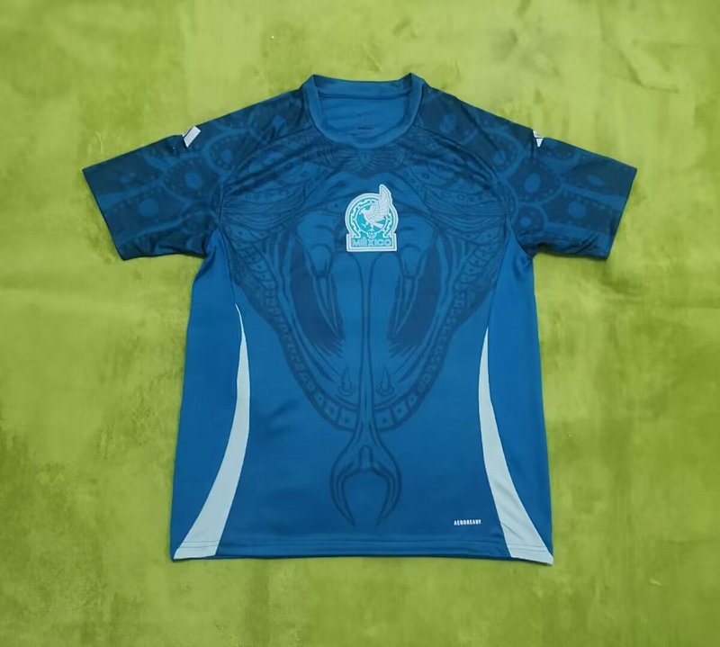 2024 Mexico Training Jerseys