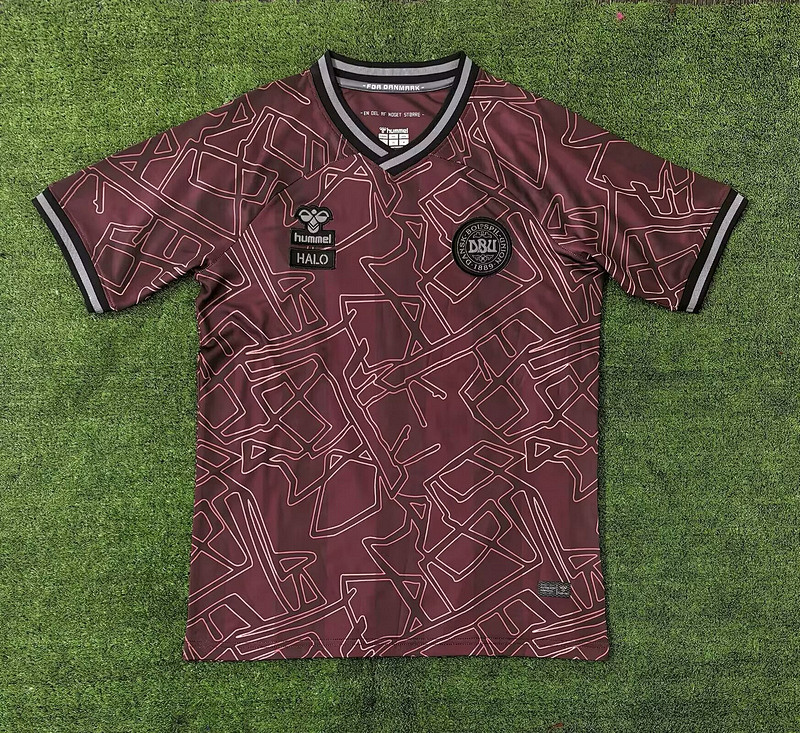 24-25 Denmark Special Jerseys