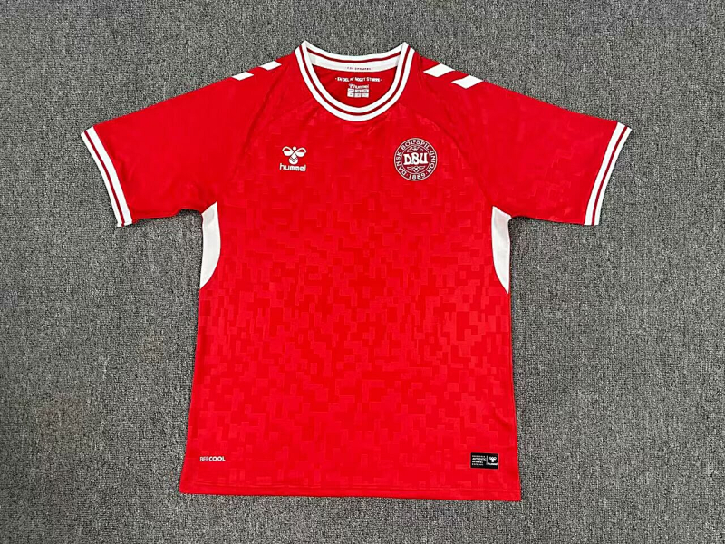 2024 Denmark Home Jerseys