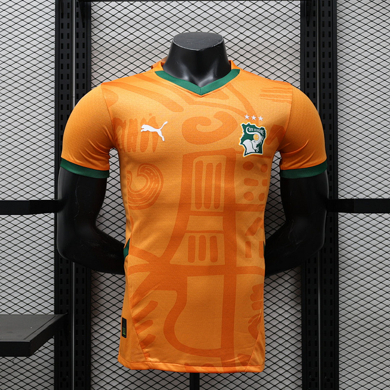 2024 Cote d'Ivoire Home Player Version Jerseys