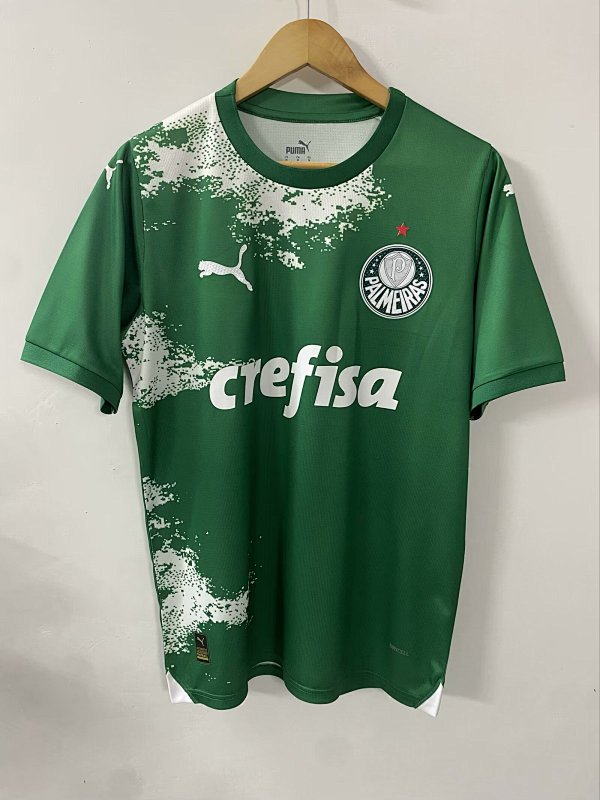 24-25 Palmeiras Special Jerseys