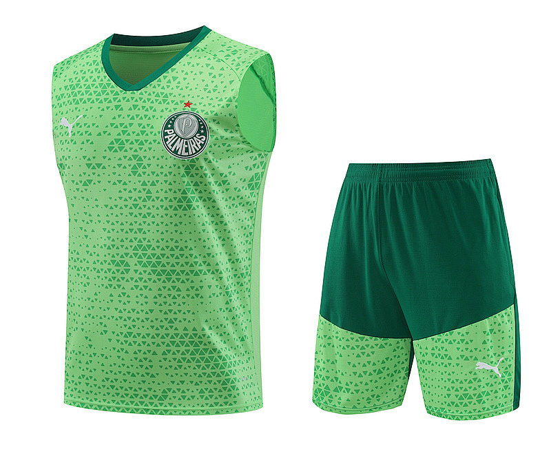 24-25 Palmeiras Vest