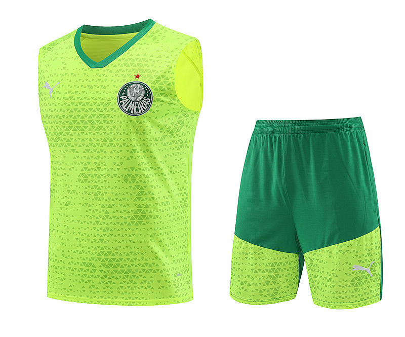 24-25 Palmeiras Vest