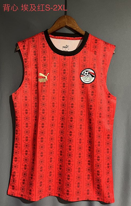2023 Egypt Home Vest