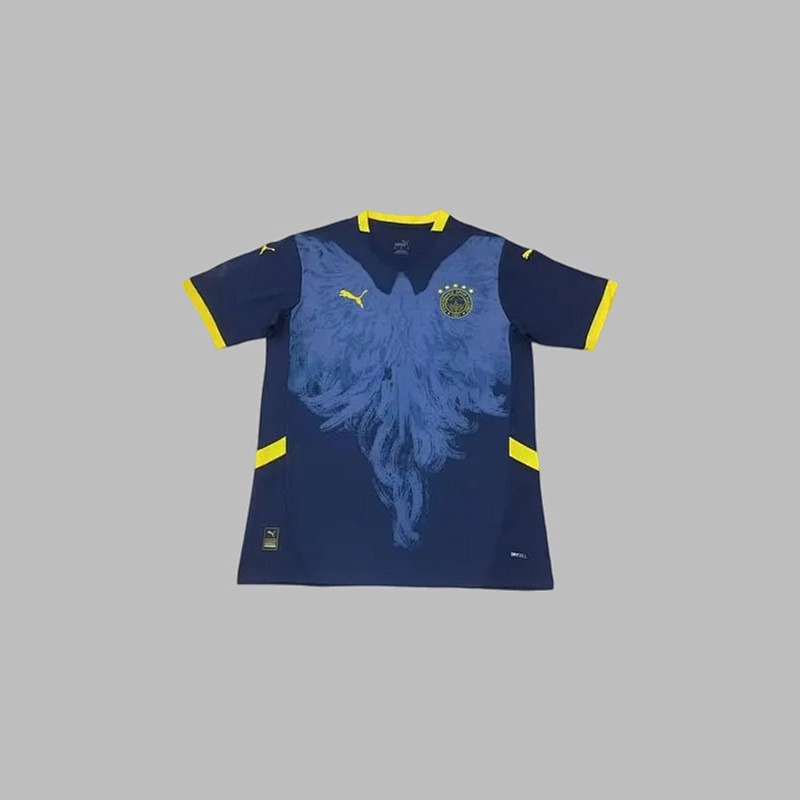 25-26 Fenerbahce Special Jerseys