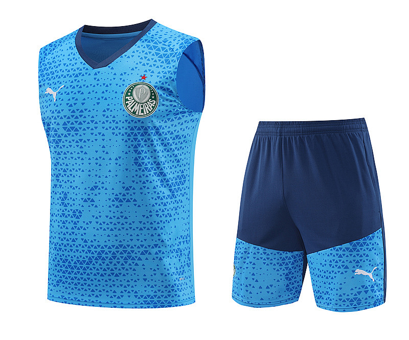24-25 Palmeiras Vest