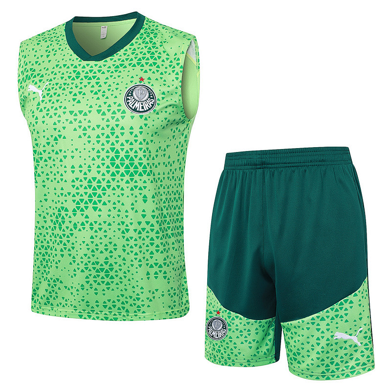 24-25 Palmeiras Vest
