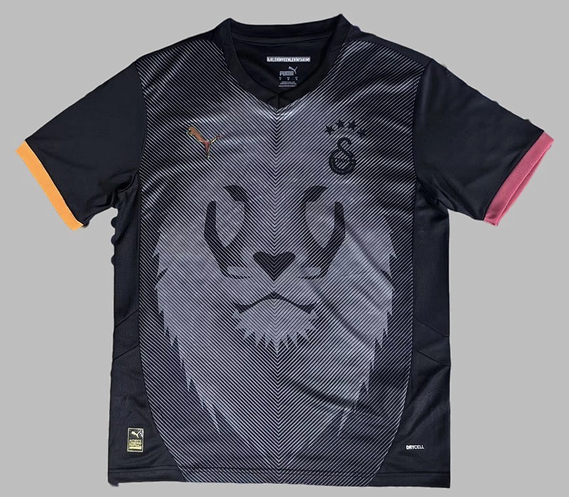 25-26 Galatasaray Special Jerseys