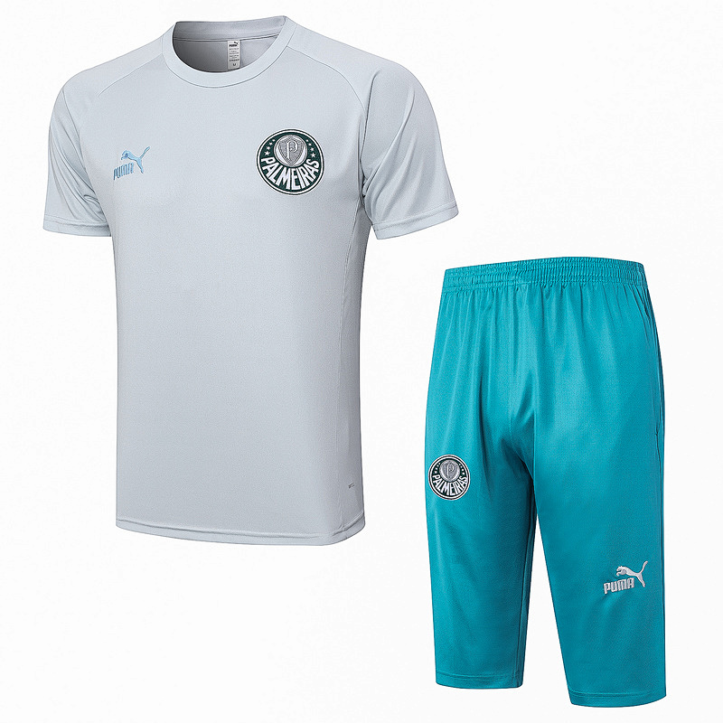 23-24 Palmeiras Short Sleeve Training Suit
