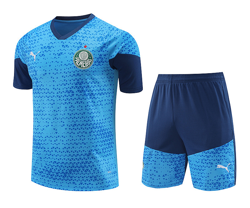 24-25 Palmeiras Training Jerseys